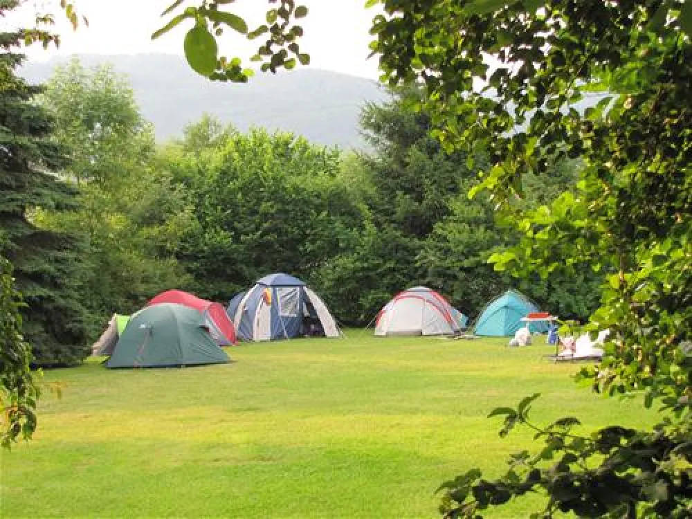 Nibelungen-Camping am Schwimmbad