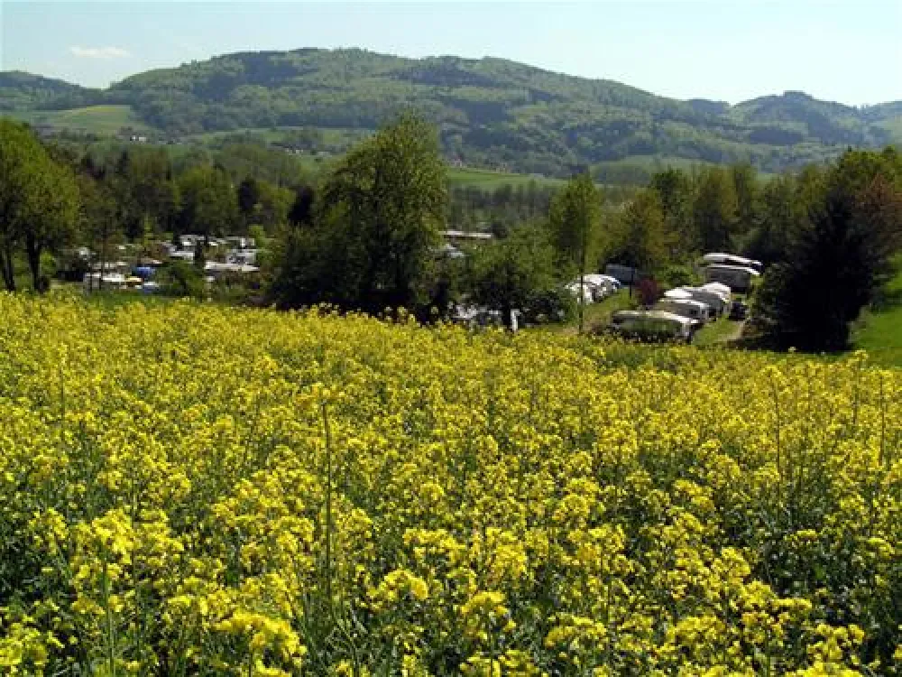 Nibelungen-Camping am Schwimmbad