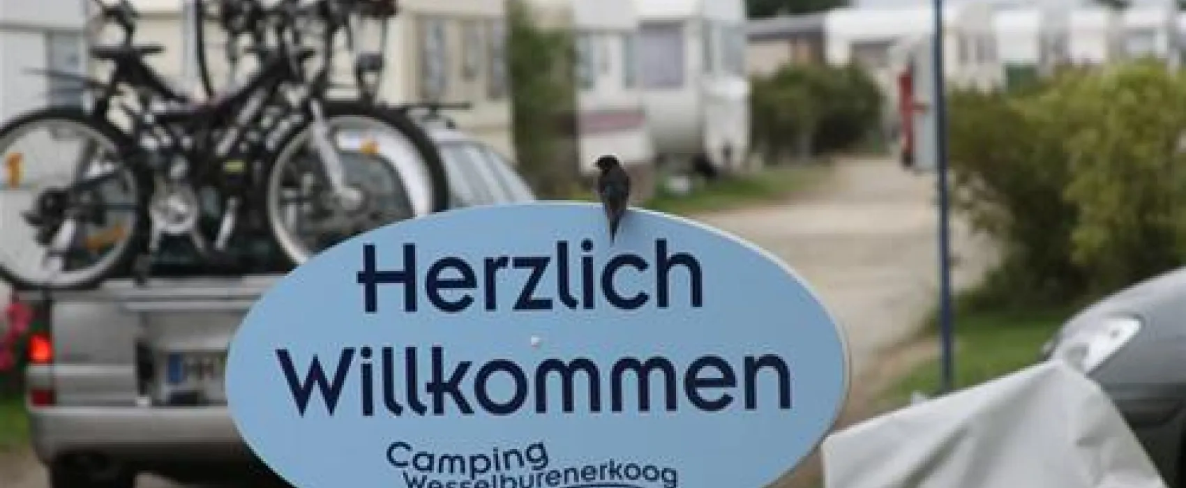 Camping Wesselburenerkoog