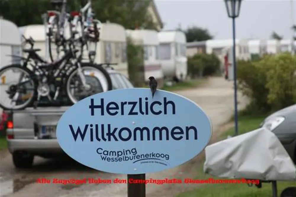 Camping Wesselburenerkoog