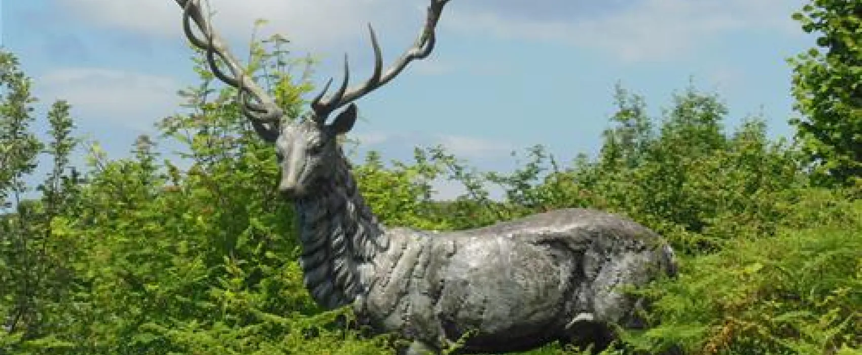 Woodlands Caravan Park