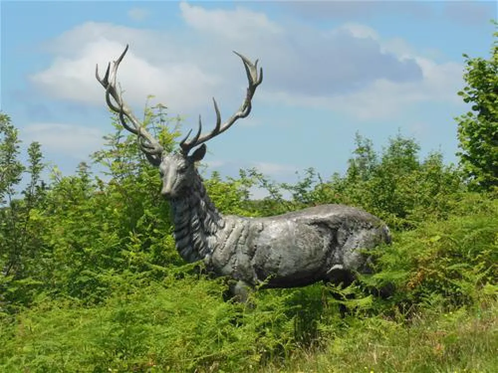 Woodlands Caravan Park