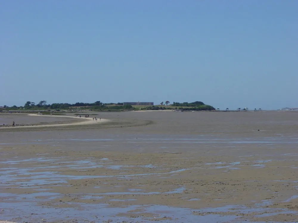 Camping Municipal De La Garenne  