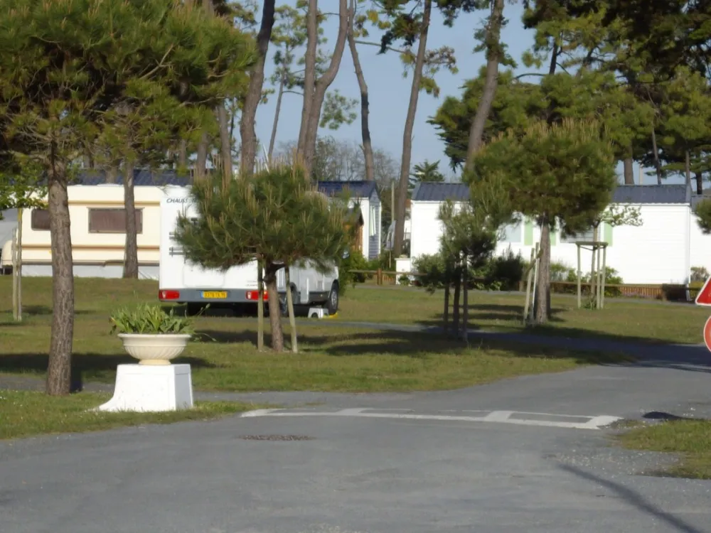 Camping Municipal De La Garenne  