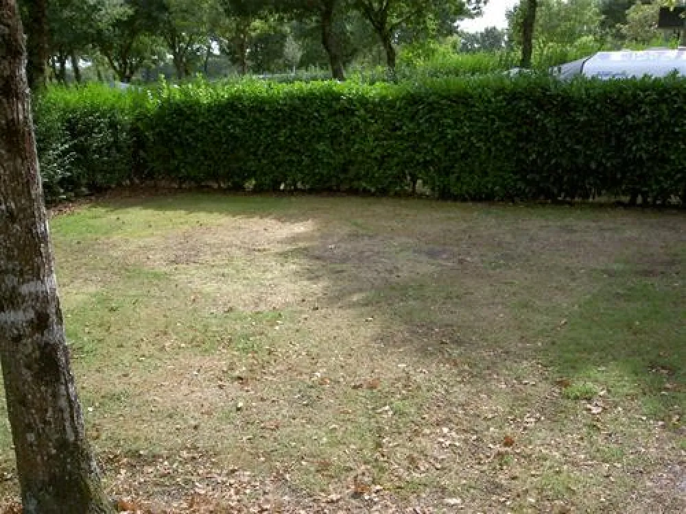 La Baie de Douarnenez