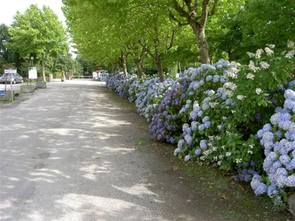 La Baie de Douarnenez