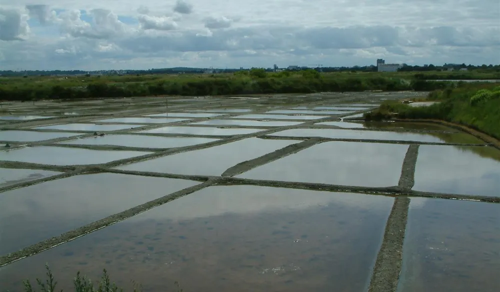 Camping Municipal Du Petit Bois