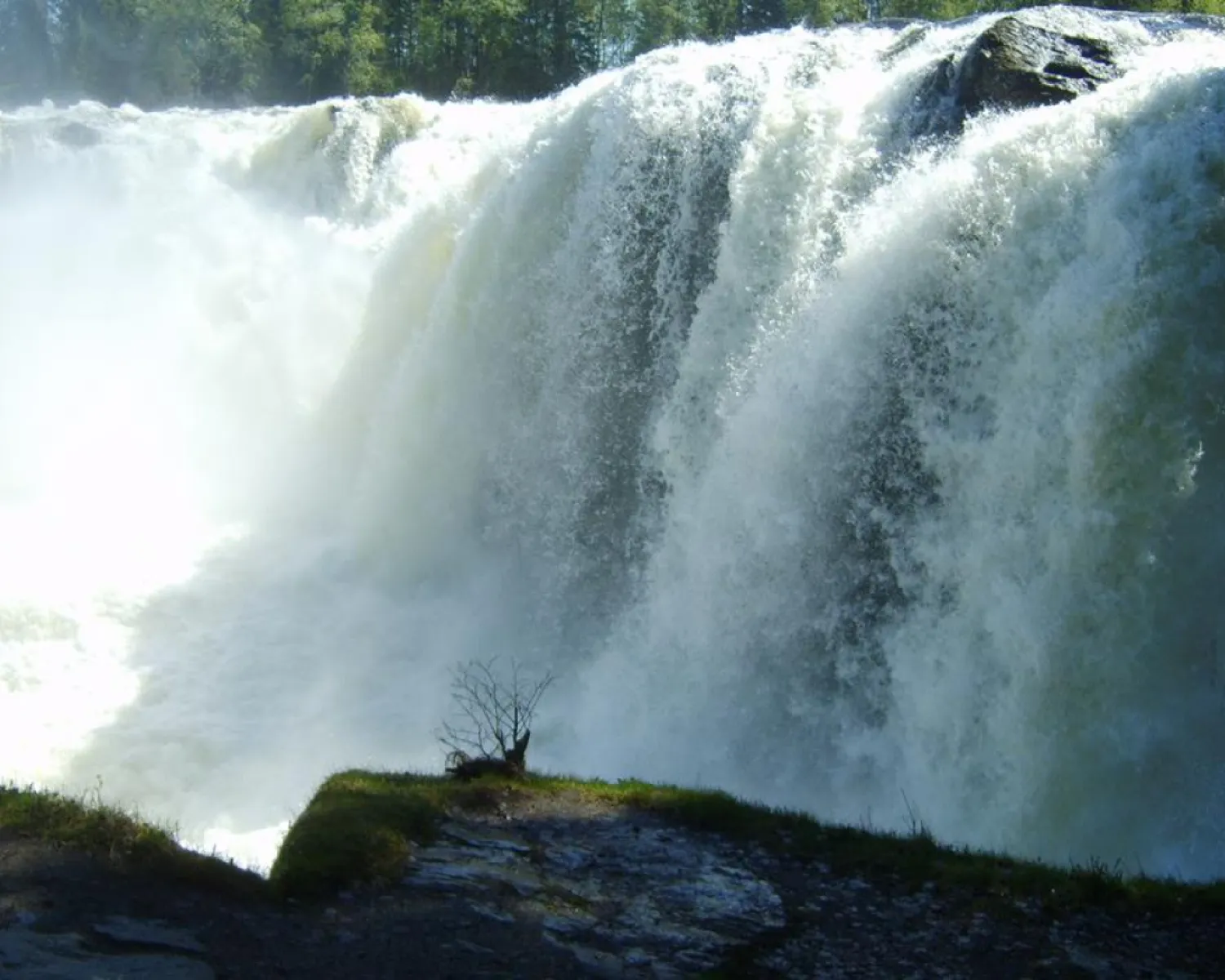 Camping Ristafallet in Schweden - Spottocamp - Spottocamp