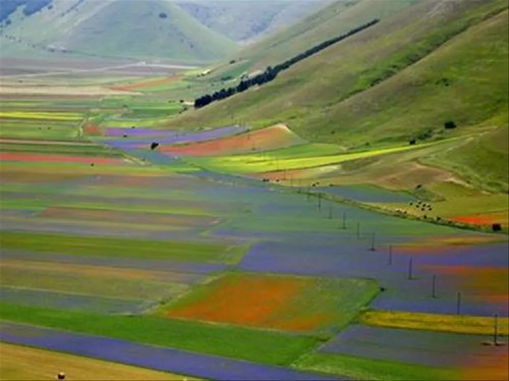 Campeggio Monte Prata