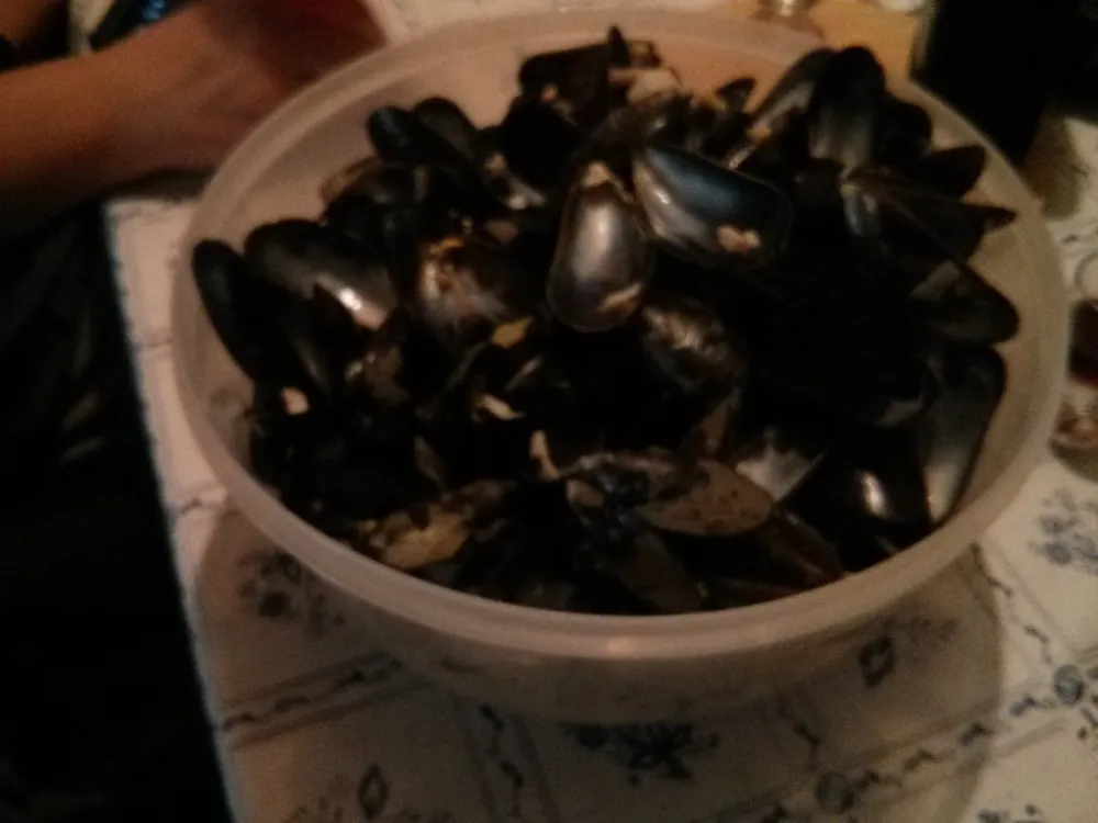 Campingplatz Felsenblick