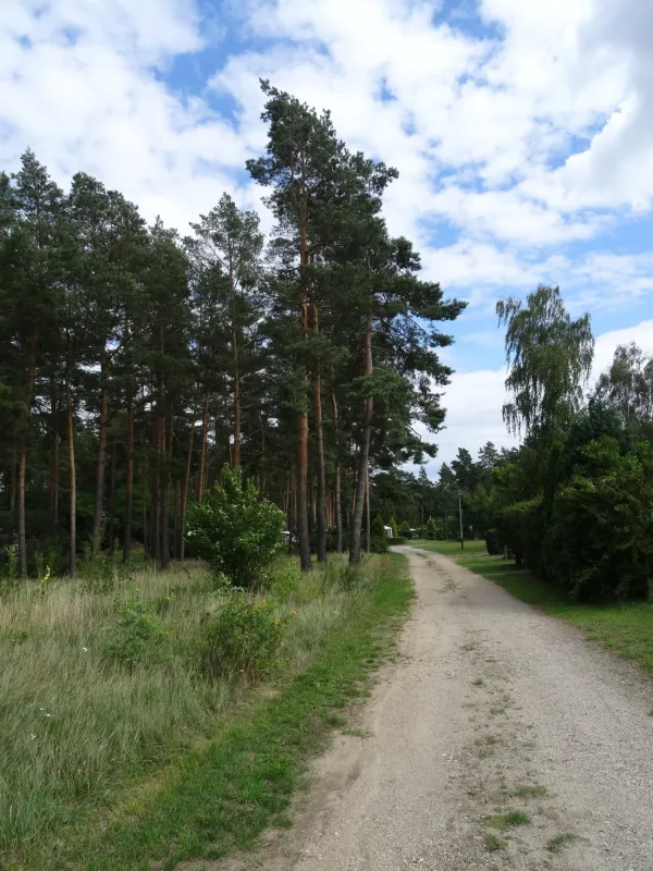 Am Großen Lausiger Teich