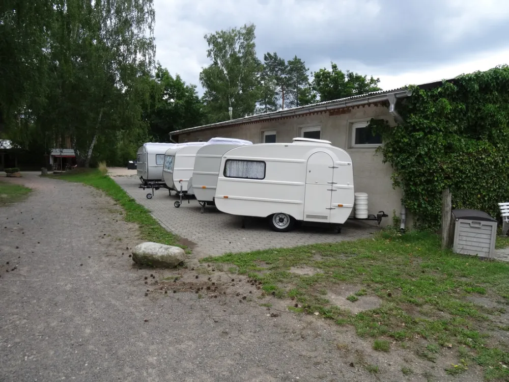 Am Großen Lausiger Teich