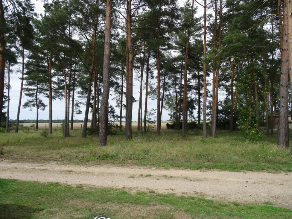 Am Großen Lausiger Teich