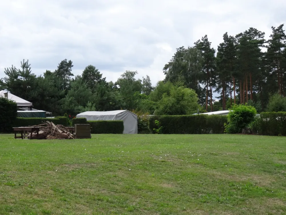 Am Großen Lausiger Teich