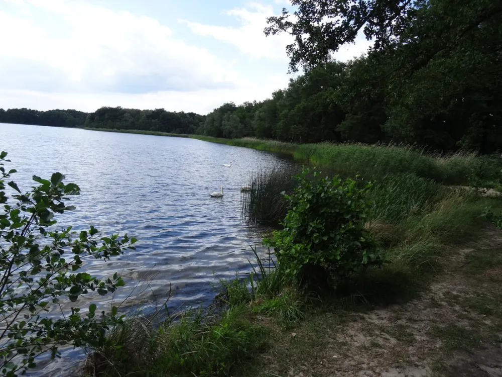 Am Großen Lausiger Teich