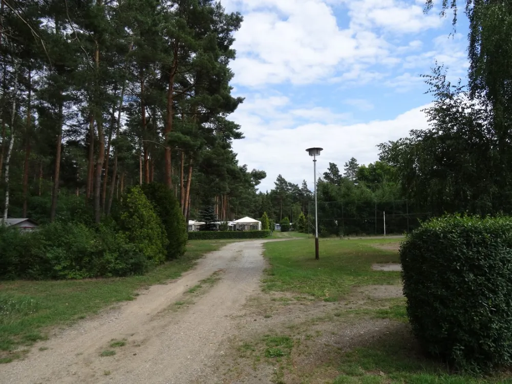 Am Großen Lausiger Teich