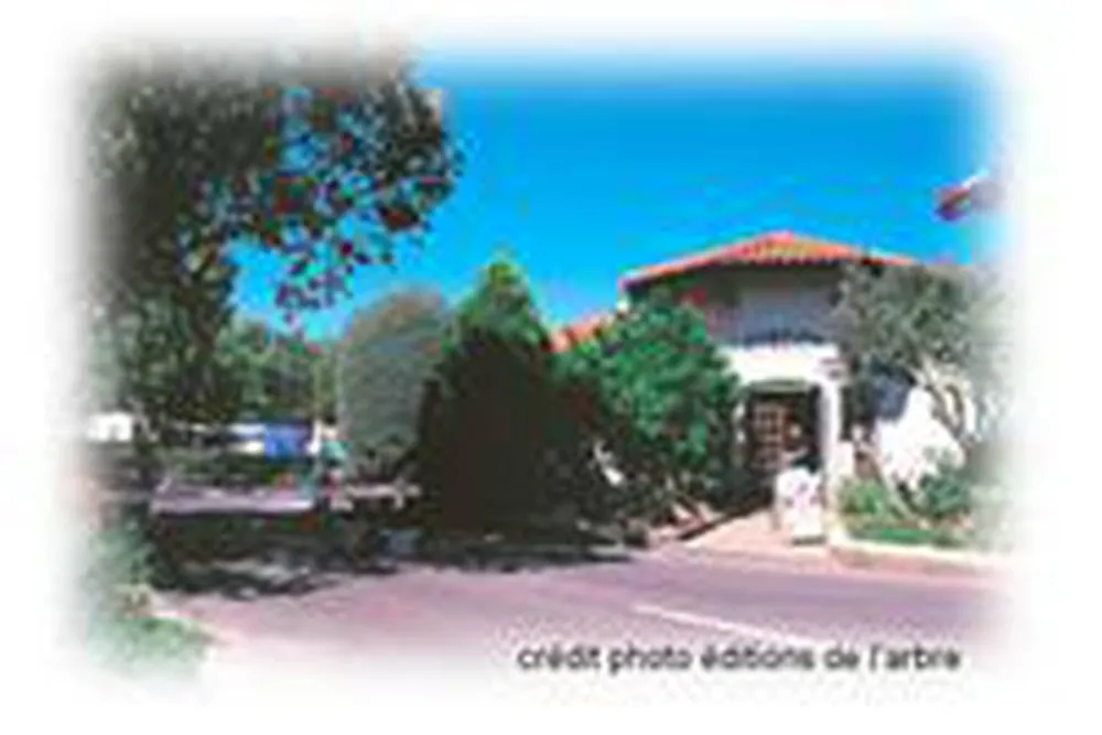 Camping Le Pied De L'aigoual