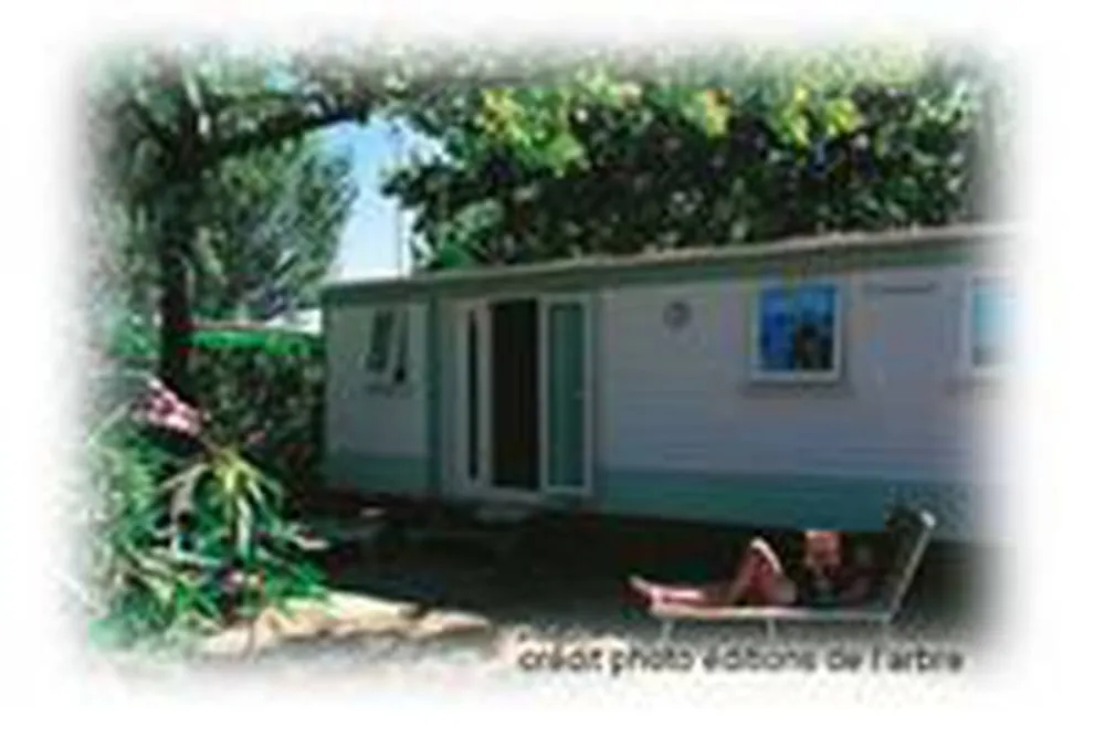 Camping Le Pied De L'aigoual