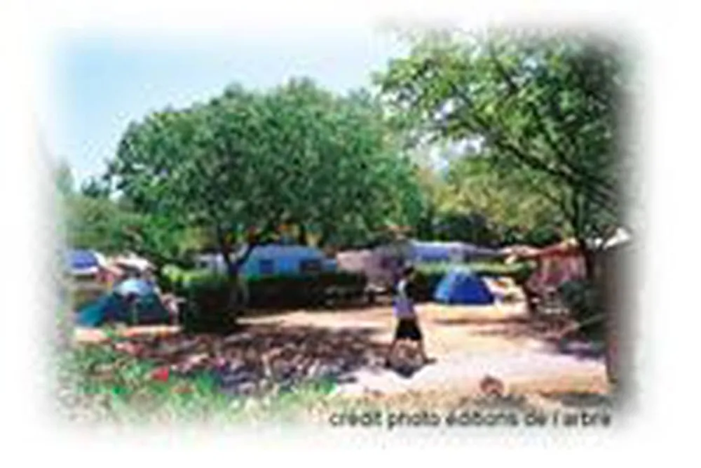 Camping Le Pied De L'aigoual