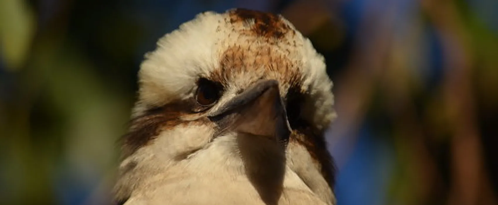 Wild Dog Bend Campground