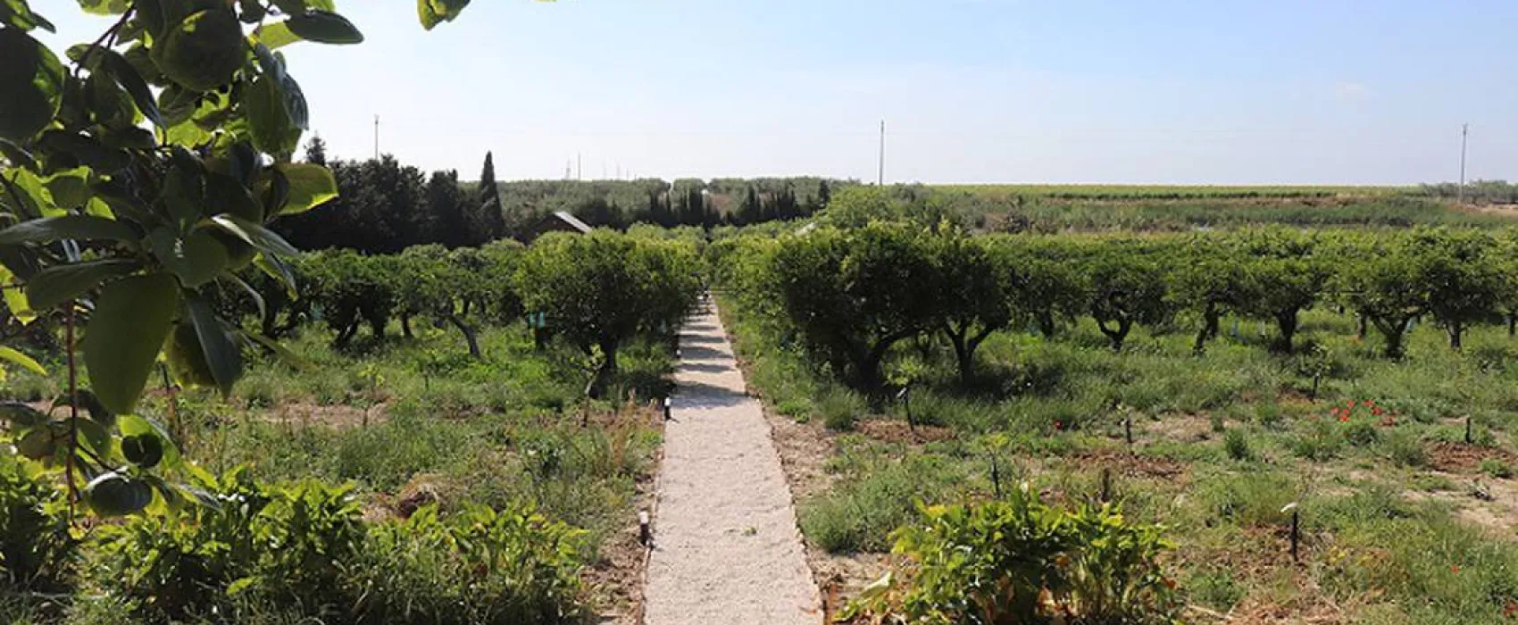 Agriturismo Vultaggio