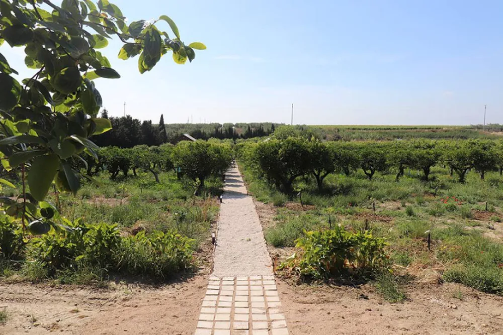 Agriturismo Vultaggio