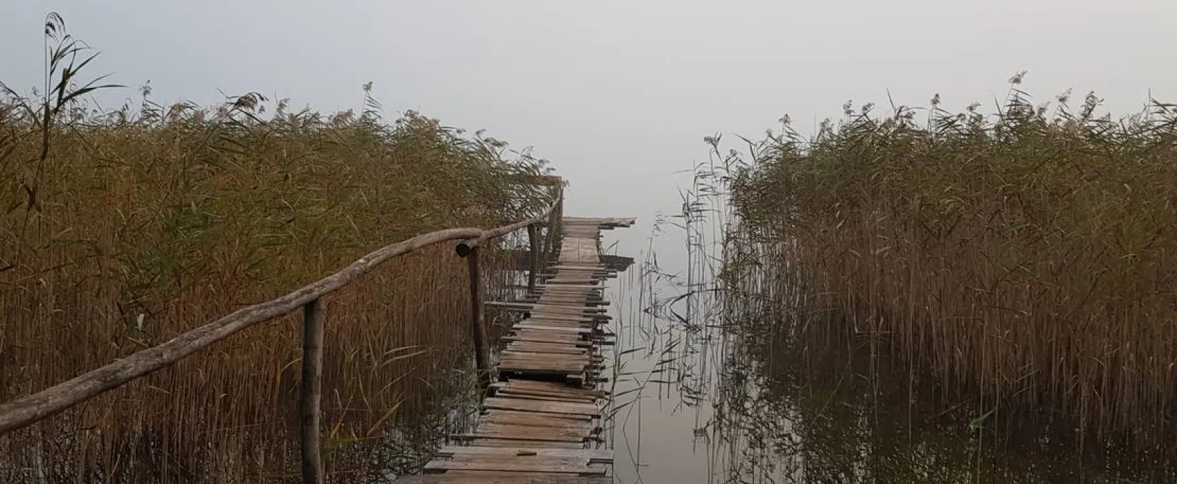 KIKITY - Camping at the lake