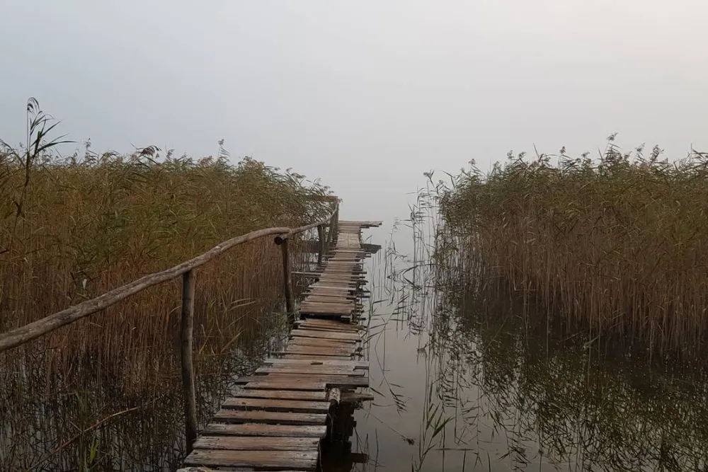 KIKITY - Camping at the lake