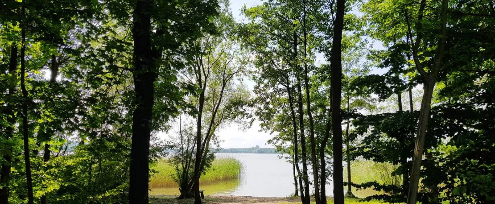 KIKITY - Camping at the lake