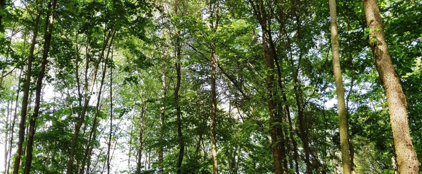 KIKITY - Camping at the lake