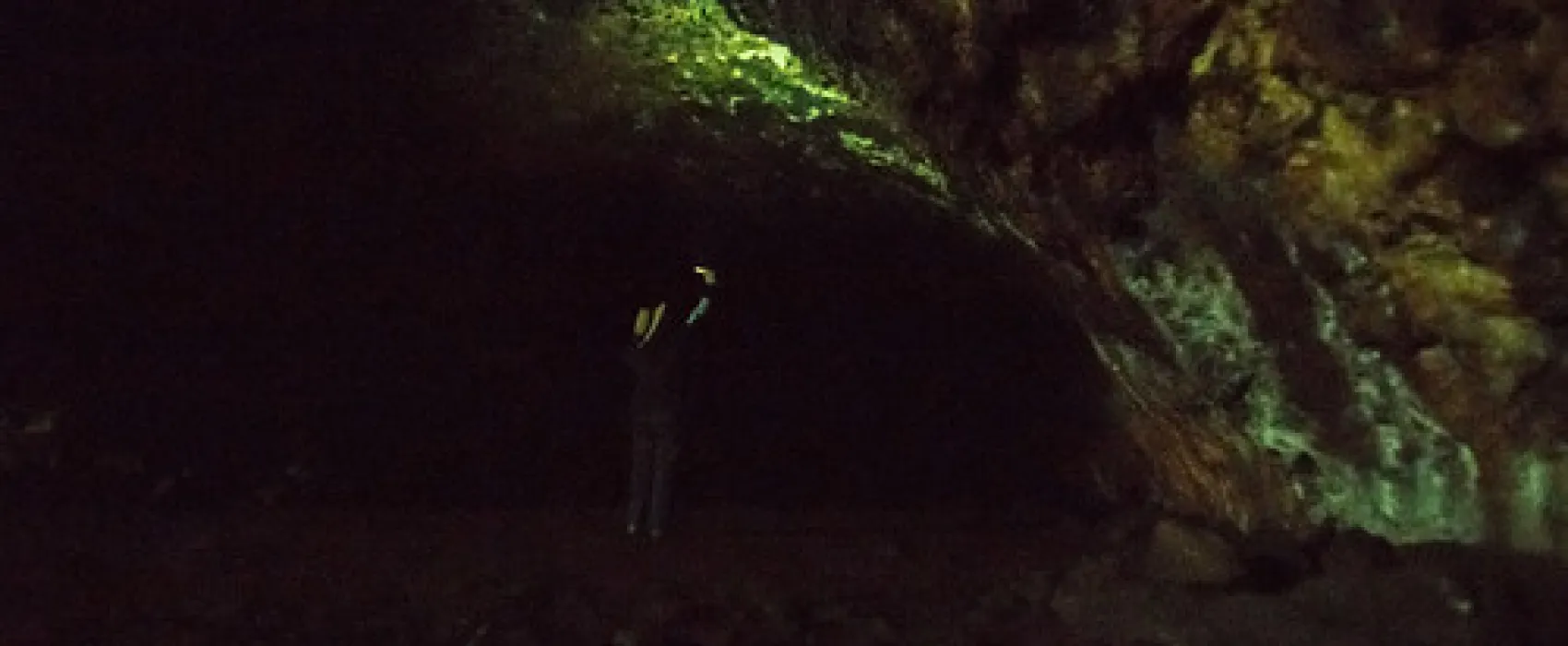 Mt Eccles National Park Campground