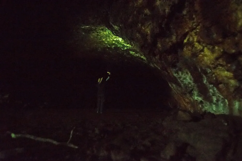 Mt Eccles National Park Campground