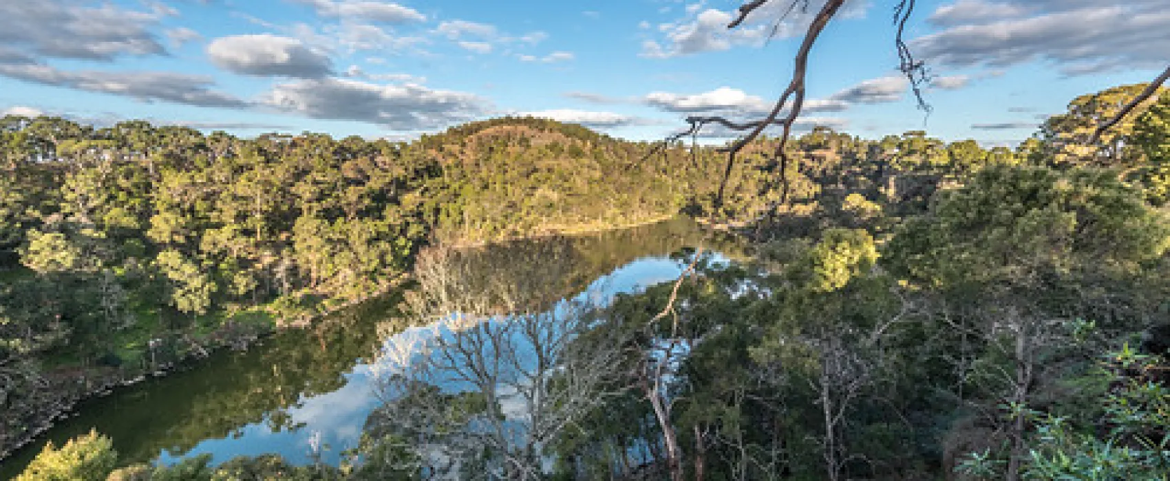 Mt Eccles National Park Campground