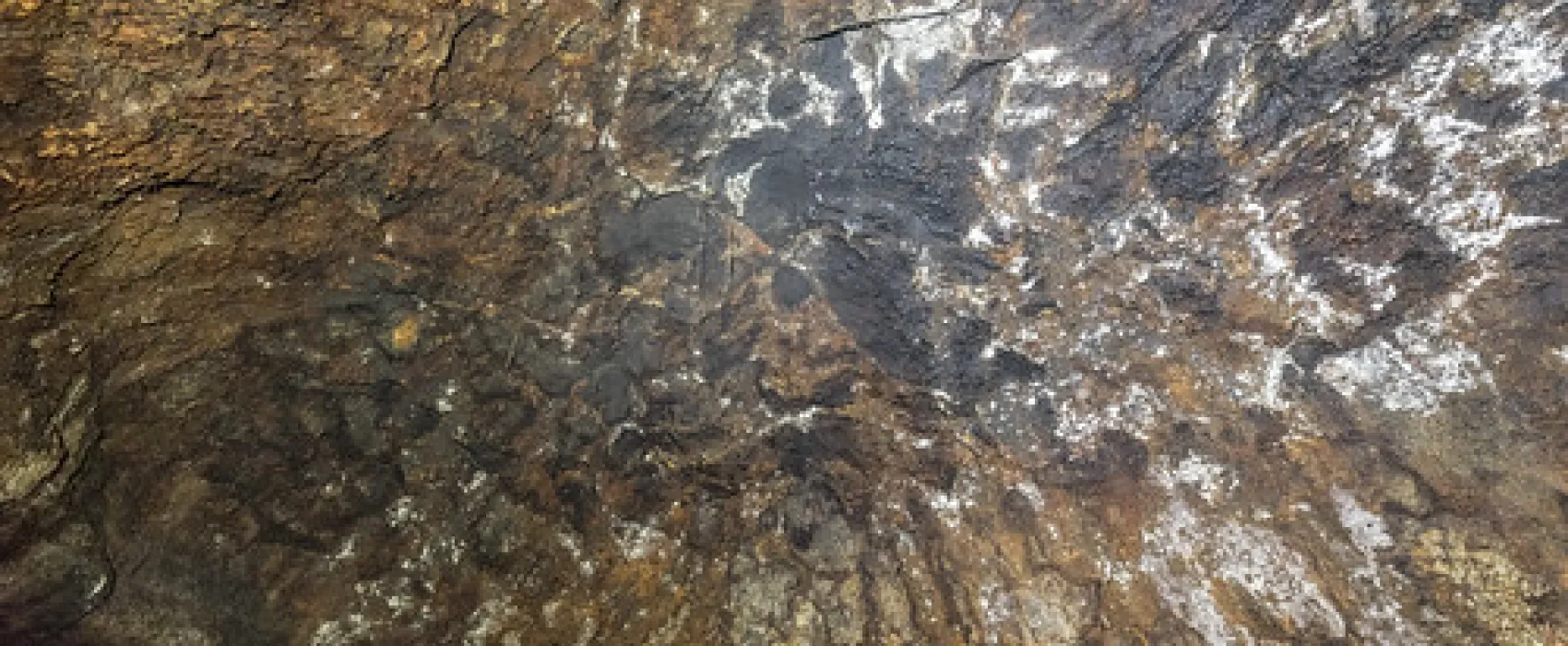 Mt Eccles National Park Campground