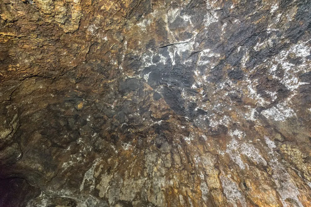 Mt Eccles National Park Campground