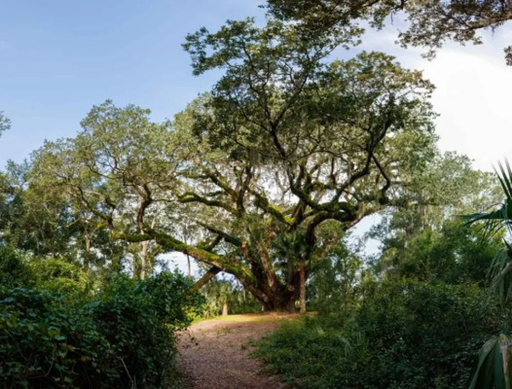 Lake Griffin State Park