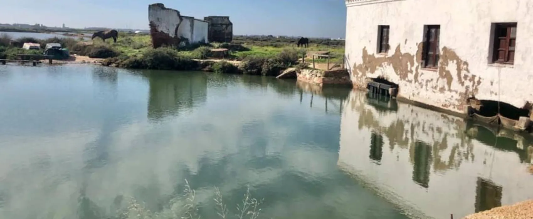 CAMPER PARK PLAYAS DE LUZ