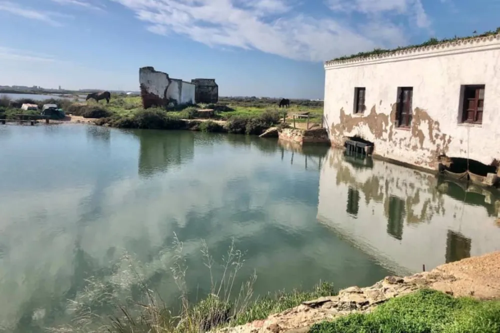 CAMPER PARK PLAYAS DE LUZ