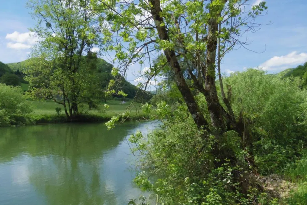 Camping Municipal De Vaufrey