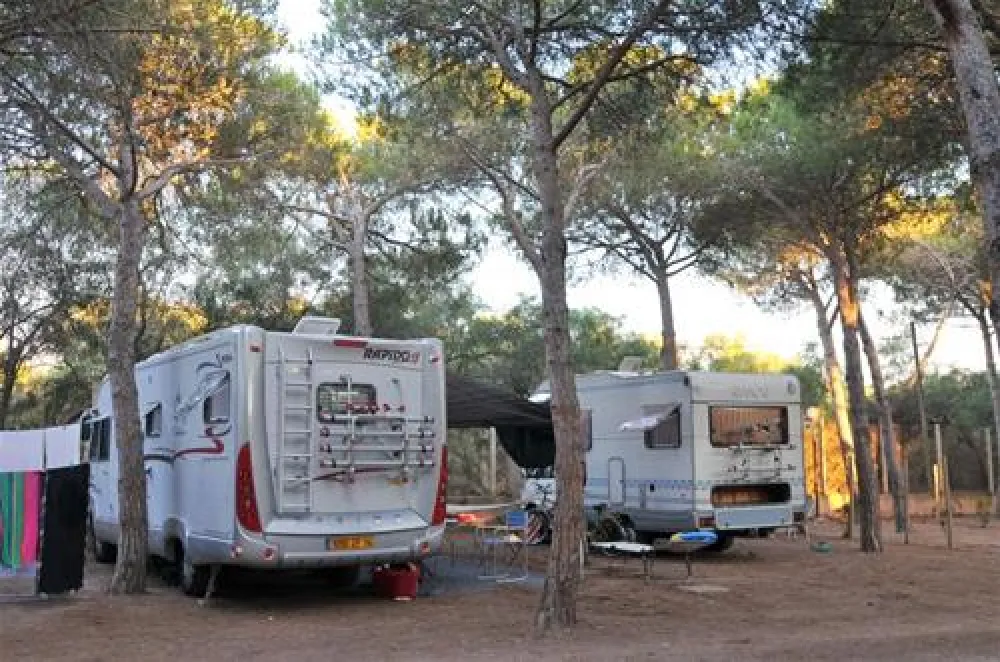 Camping Torre del Porticciolo