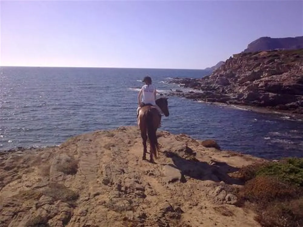 Camping Torre del Porticciolo