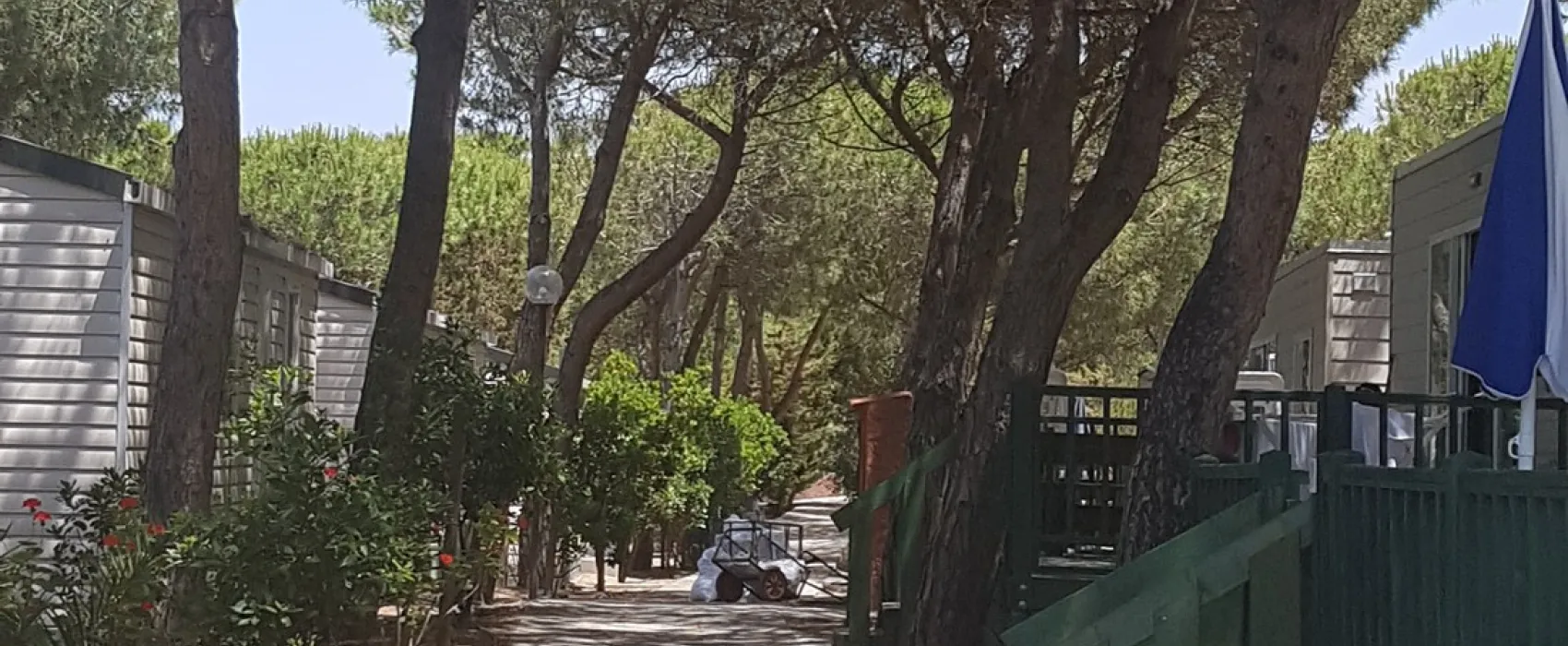 Camping Torre del Porticciolo