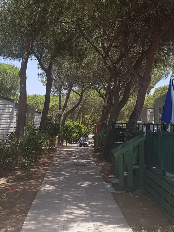 Camping Torre del Porticciolo