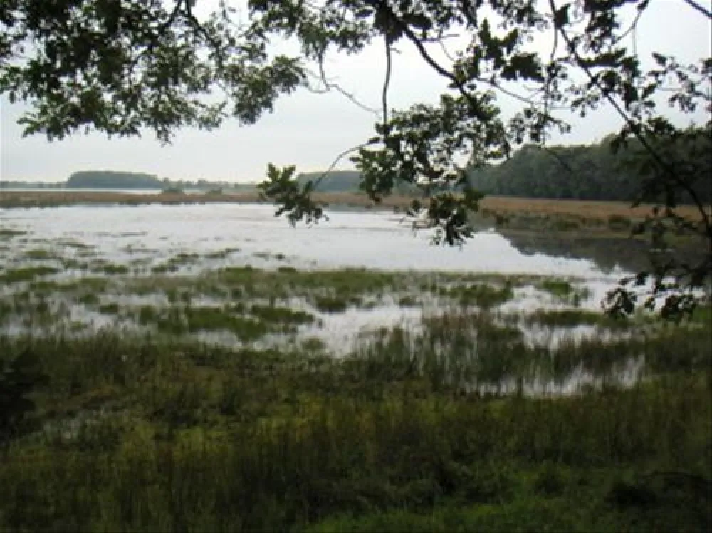 minicamping Heidehof