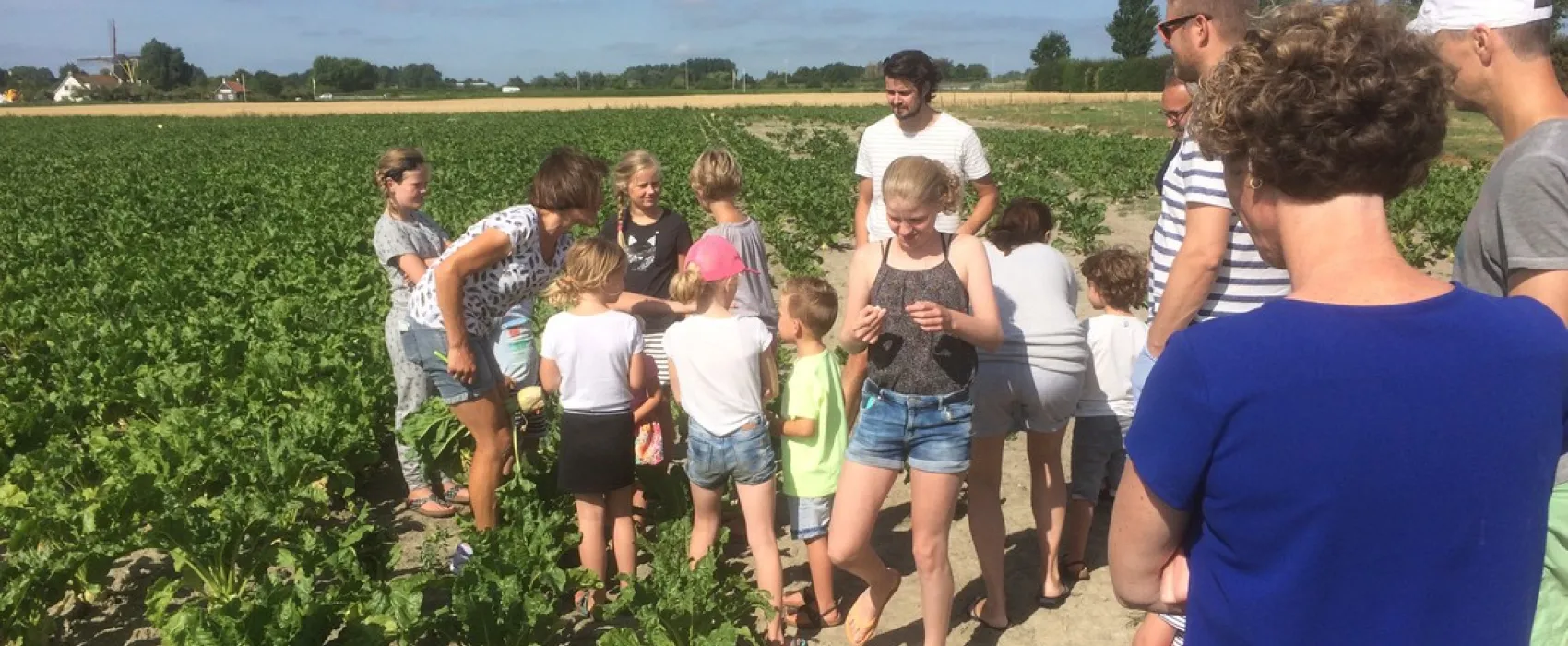 Boerderijcamping Molenperk