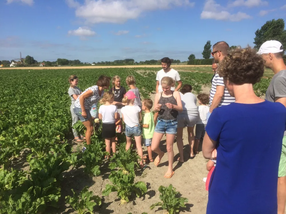 Boerderijcamping Molenperk