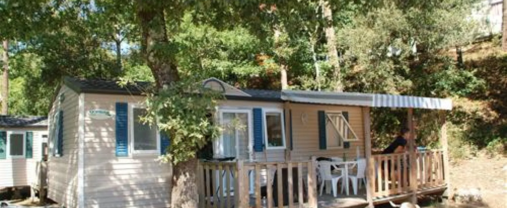 Les Pins De La Coubre  