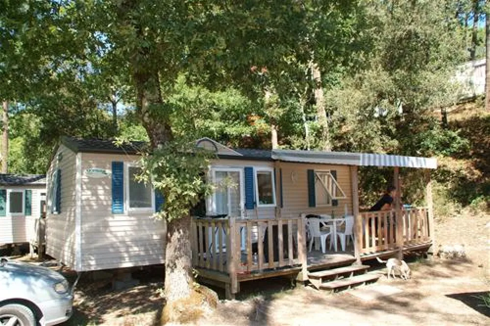 Les Pins De La Coubre  