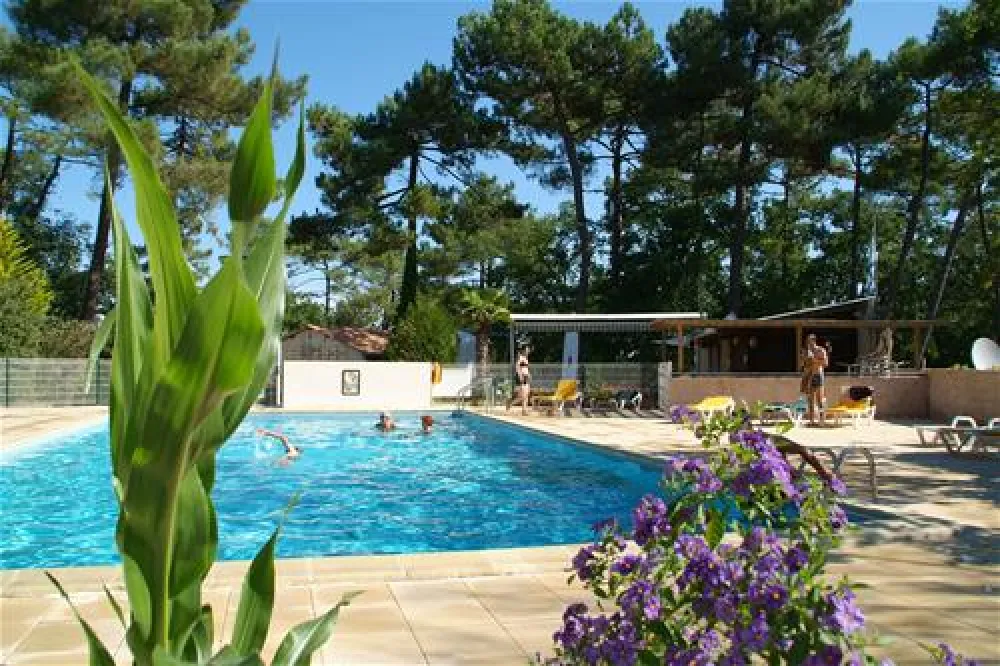 Les Pins De La Coubre  