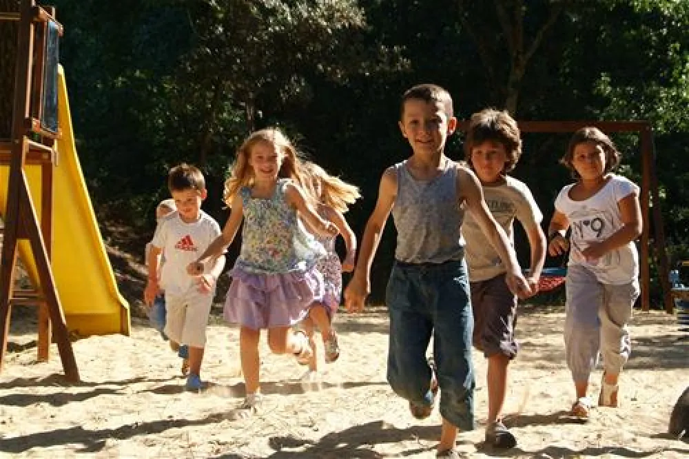 Les Pins De La Coubre  